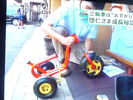 http://www.hyakuchomori.xyz/blog2/i/090907_tokudane_2.jpg
