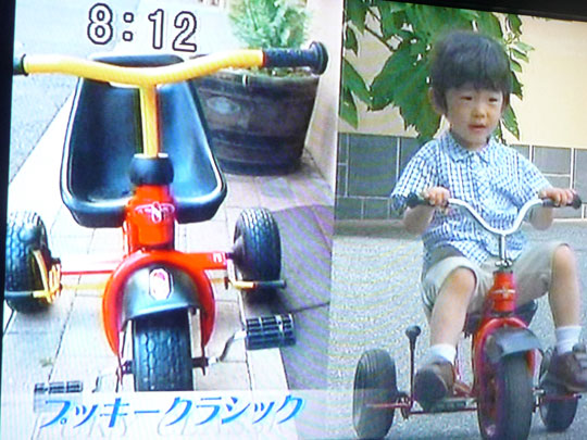 http://www.hyakuchomori.xyz/blog2/i/090907_tokudane_3.jpg