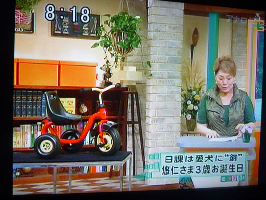 http://www.hyakuchomori.xyz/blog2/i/090907_tokudane_5.jpg