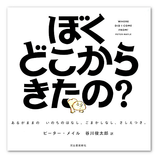 �ڂ��ǂ����炫���́H�F���C���摜