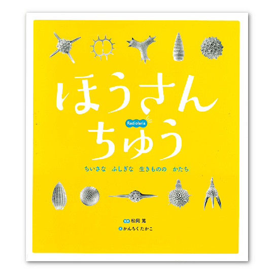 �ق����イ�F���C���摜