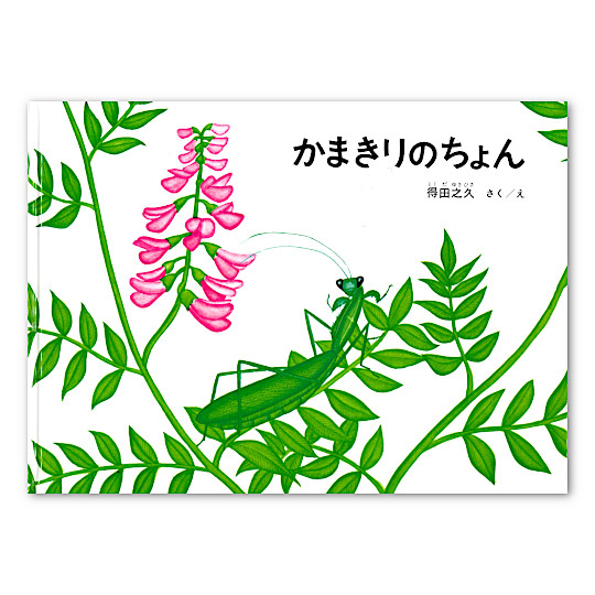 �����q�ǂ��}���ً�����敜���Z�b�g�i�W���j�F