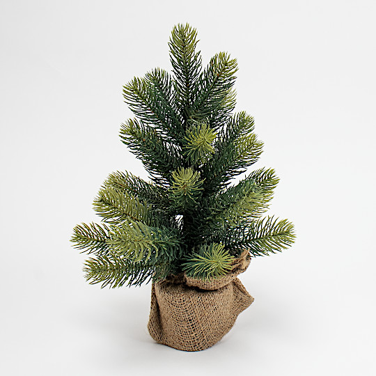 �V�����@���c���@���g�c���[ ��� 30cm�F���C���摜