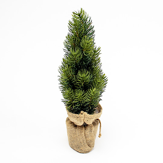 �V�����@���c���@���g�c���[ ��� 30cm�F