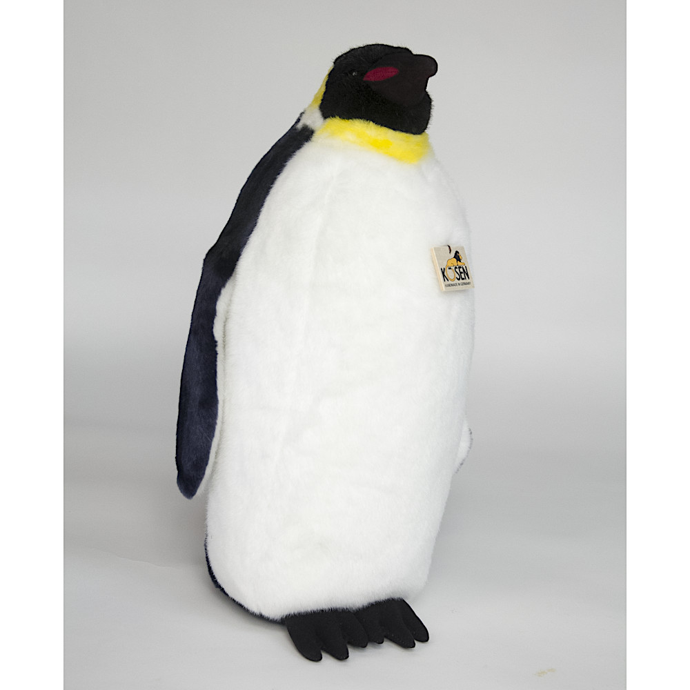 6020 �c��y���M���i��j�F���C���摜