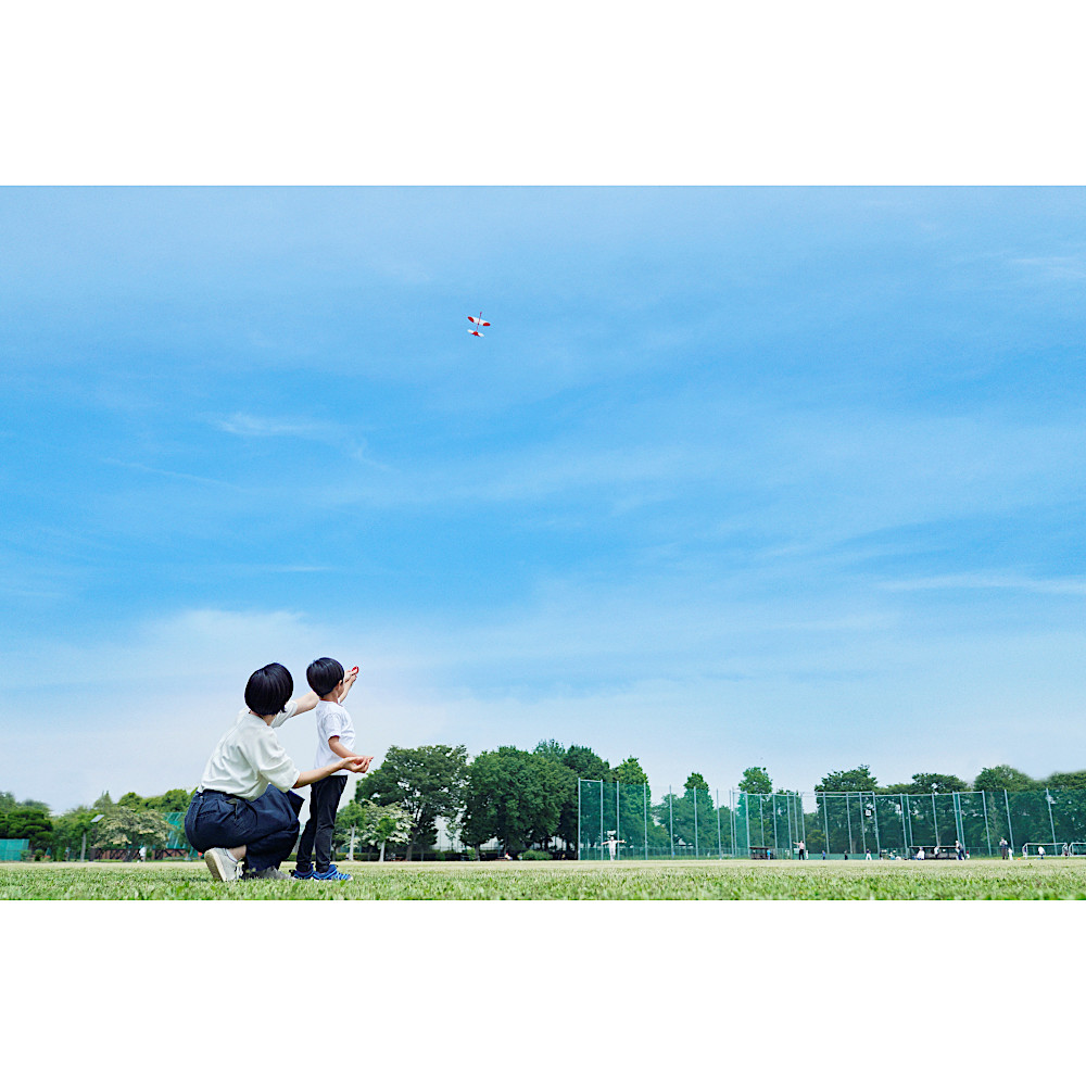 �E�C���O�X�v���[���X�J�C�i�u���[�j�F